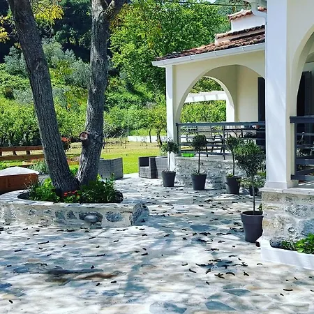 Vague Summer House *